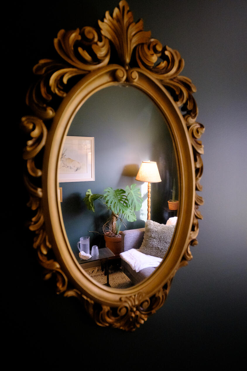 Counselling Room - Mirror, Plants, Cozy